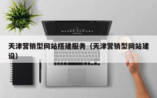 陕西天津营销型网站搭建服务（天津营销型网站建设）